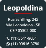 banner-leopoldina-int